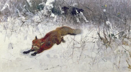 Fuchs, der durch den Schnee gejagt wird